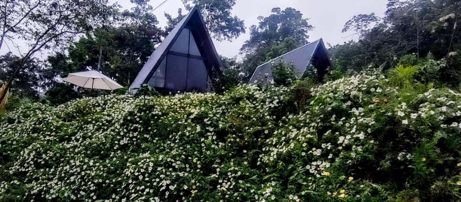 Yarumo Lodge, Rio Celeste Black Chalets Bijagua Zewnętrze zdjęcie