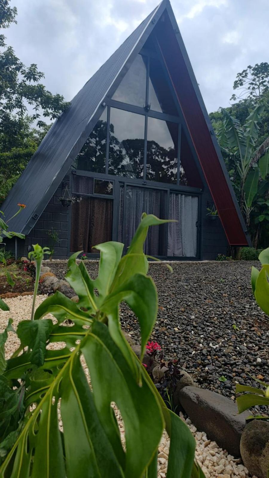 Yarumo Lodge, Rio Celeste Black Chalets Bijagua Zewnętrze zdjęcie